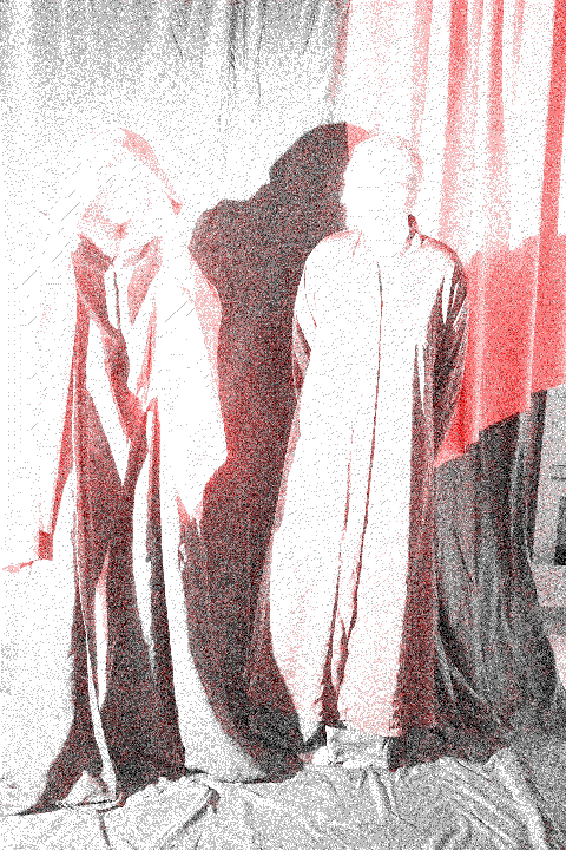 fota